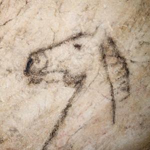 prehistoria/Caballo.jpg prehistoria/Caballo.jpg