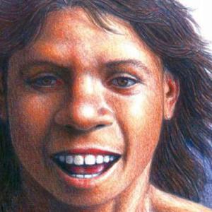prehistoria/antecessor.jpg prehistoria/antecessor.jpg