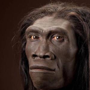prehistoria/erectus.jpg prehistoria/erectus.jpg