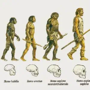 prehistoria/evolucion.webp prehistoria/evolucion.webp