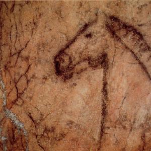 img/Cabeza_caballo.jpg