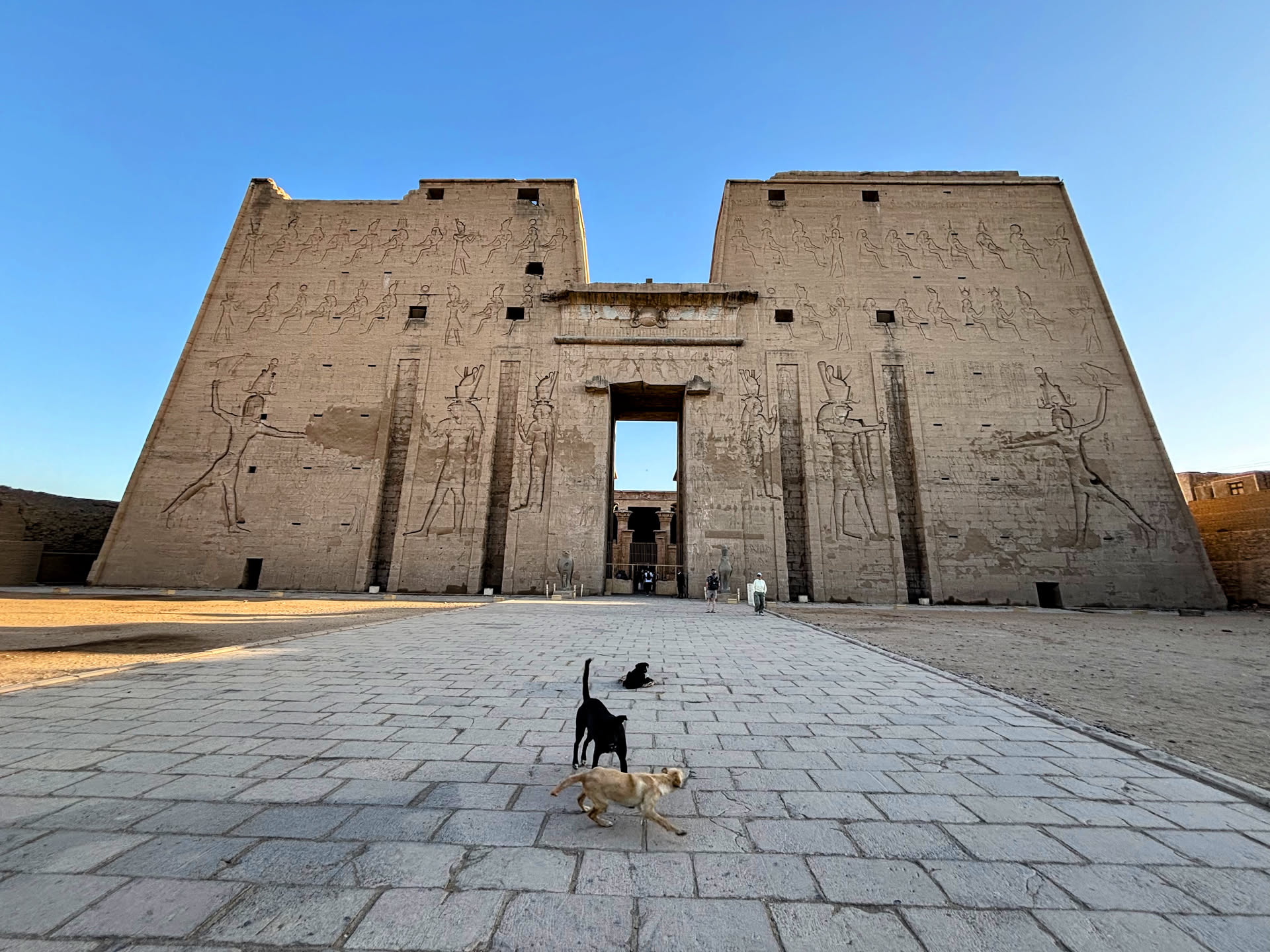 
          1º ESO - Las civilizaciones fluviales, Egipto y Mesopotamia - Featured image
        